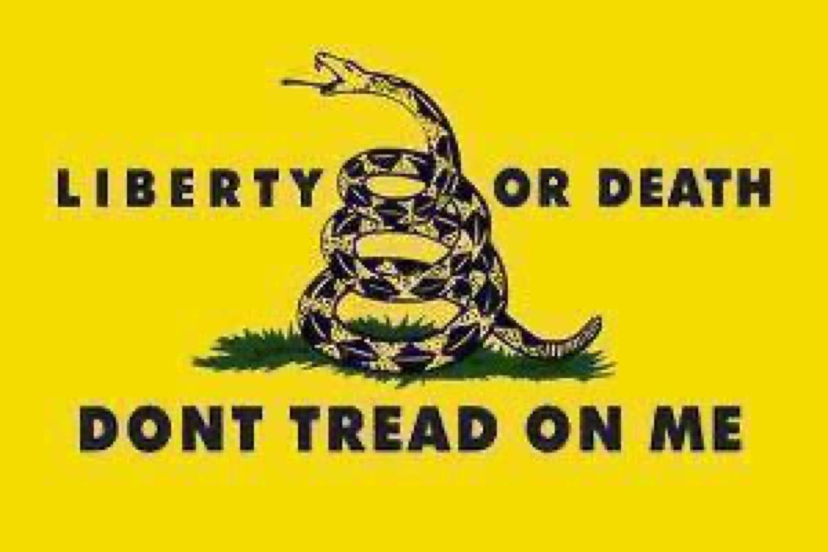 Gadsden flag — coiled rattlesnake on yellow field, with 'Liberty or Death' and 'Don't Tread On Me'.
